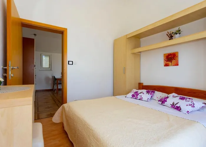 Dream View ブレラ