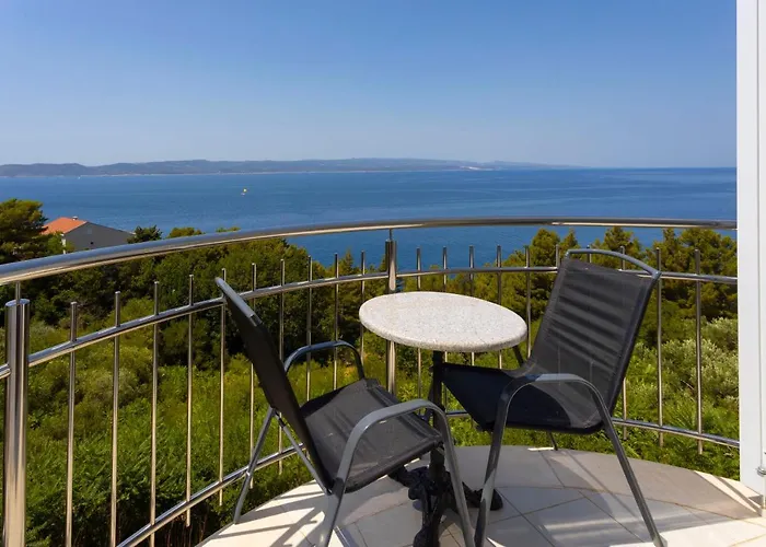 Dream View * ブレラ