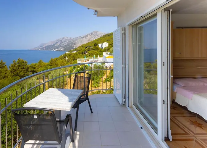 Dream View *