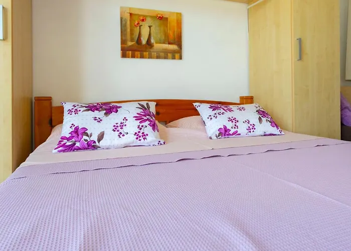 Dream View * ブレラ